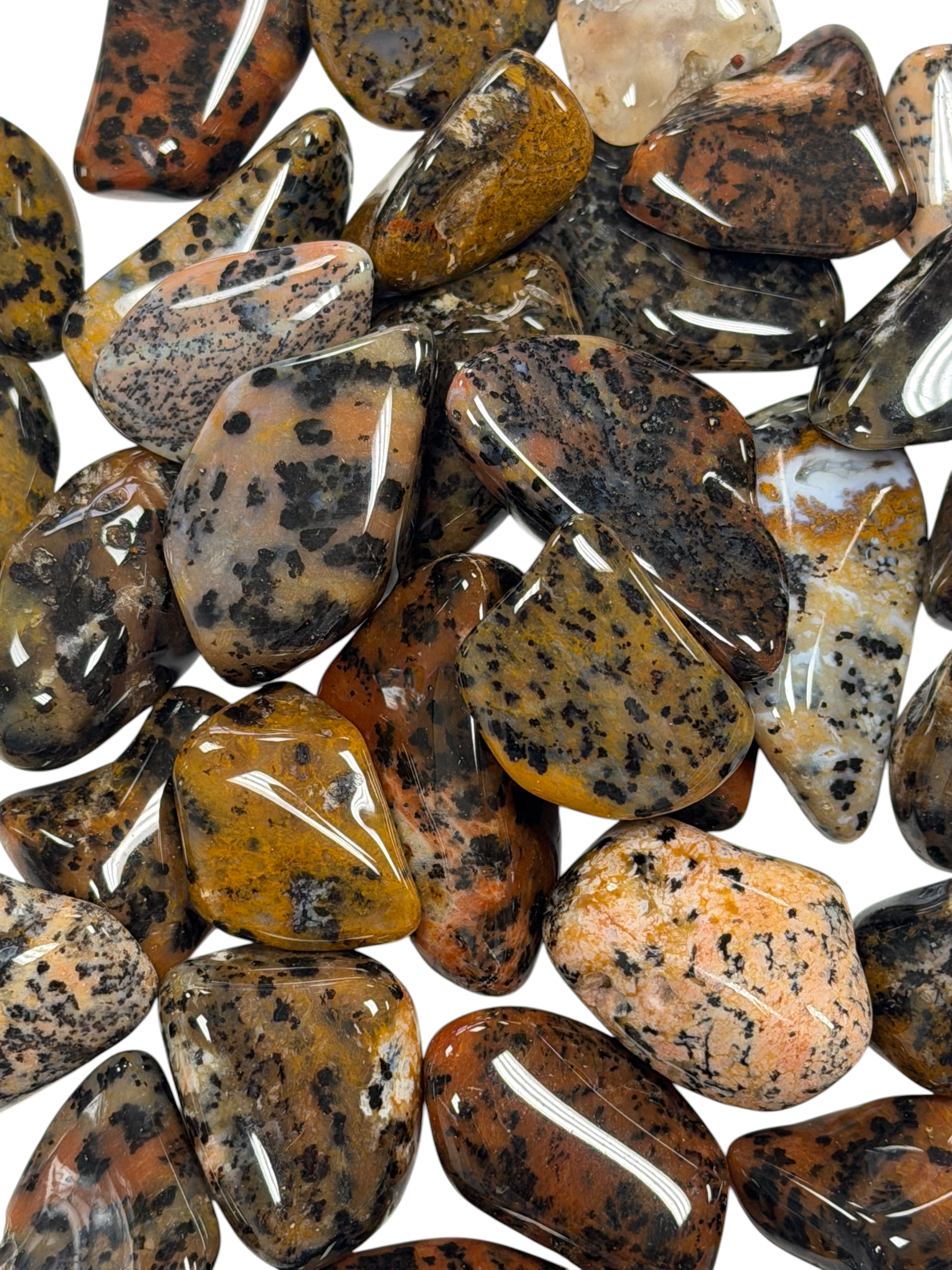 Cheetah Agate Grade A Medium Tumbled