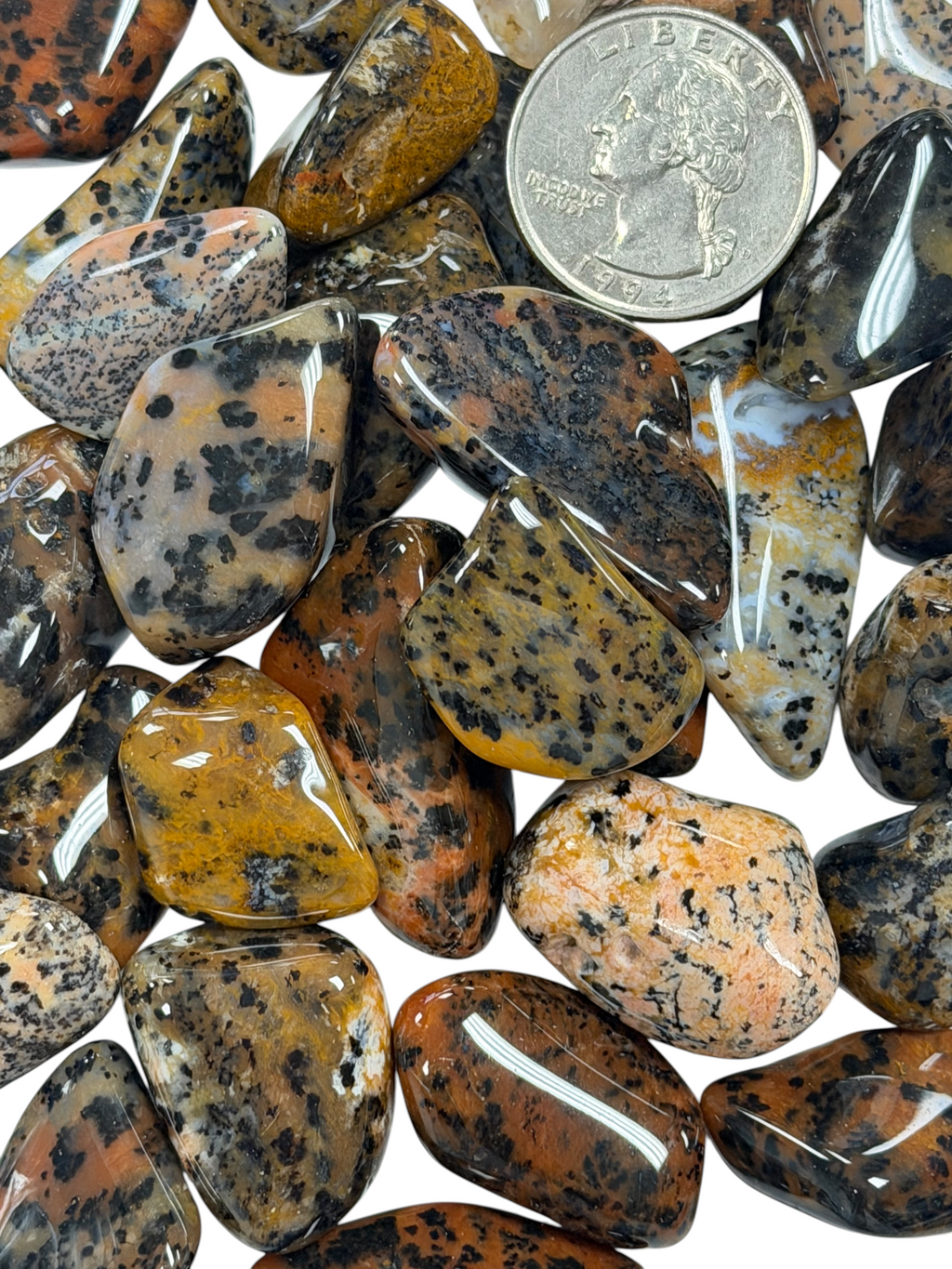 Cheetah Agate Grade A Medium Tumbled