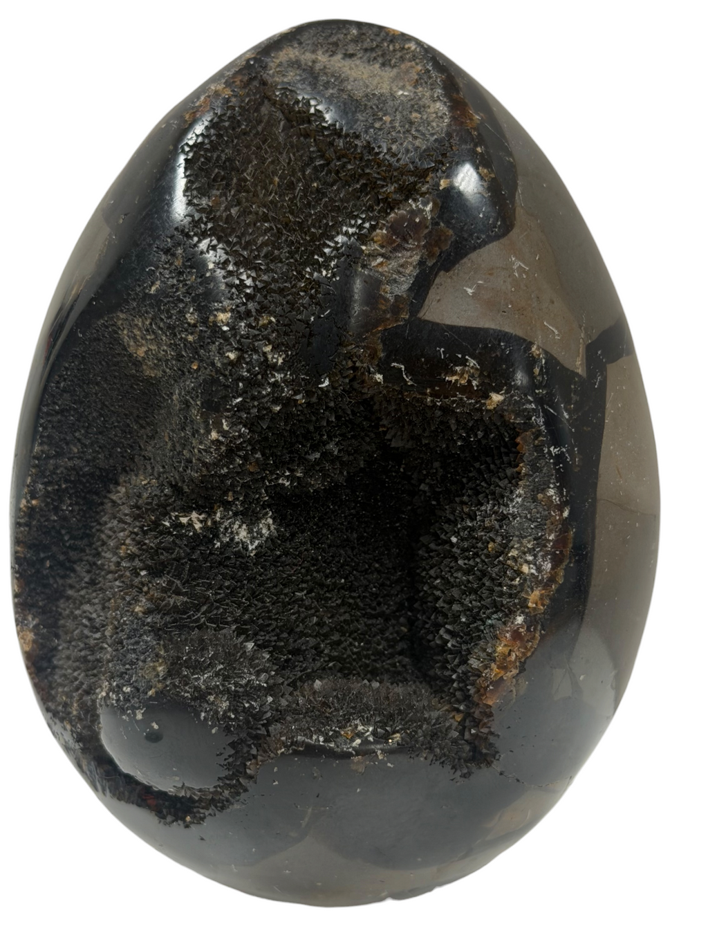 Septarian Egg "Dragons Egg"