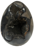 Septarian Egg "Dragons Egg"