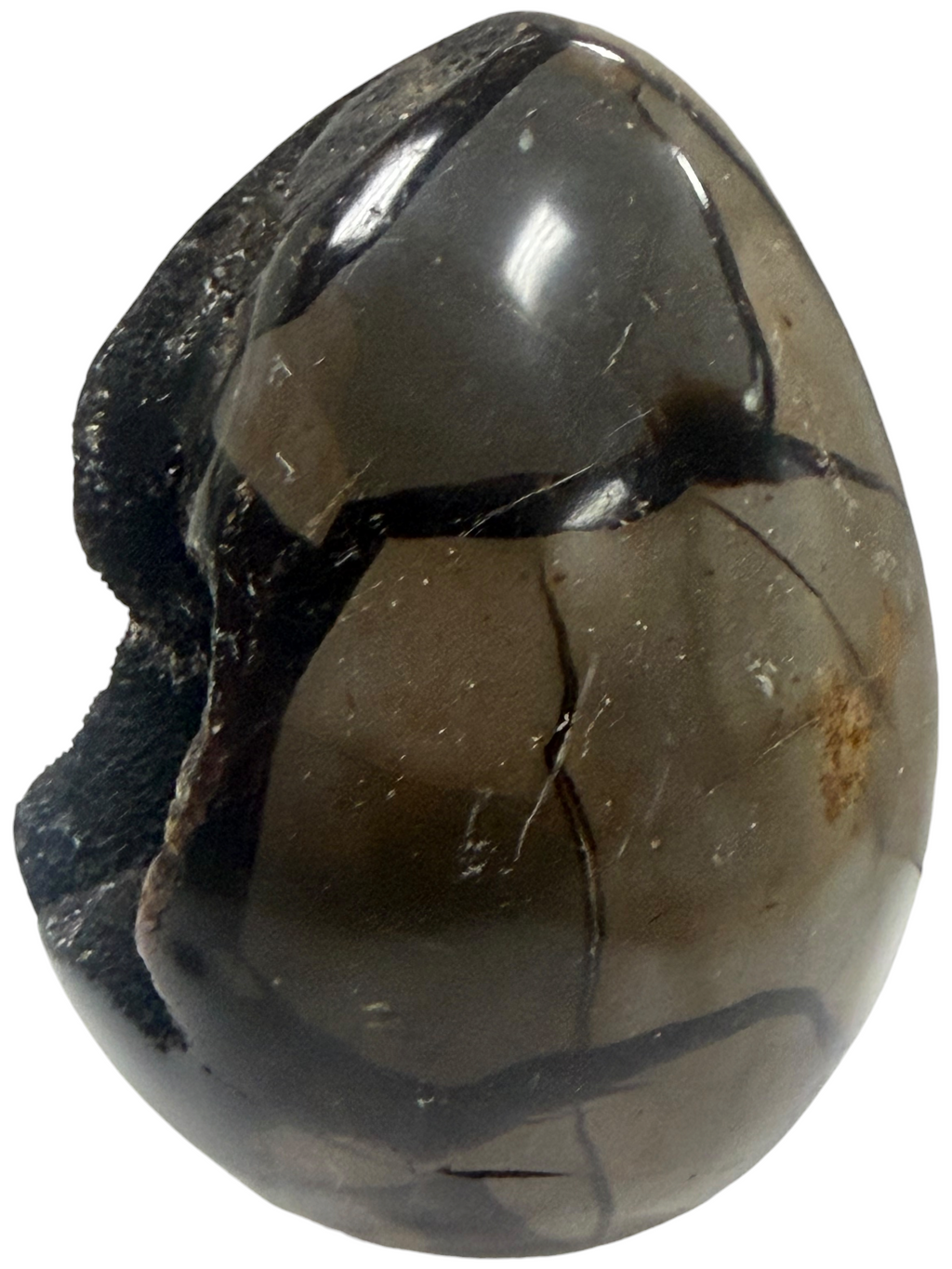 Septarian Egg "Dragons Egg"