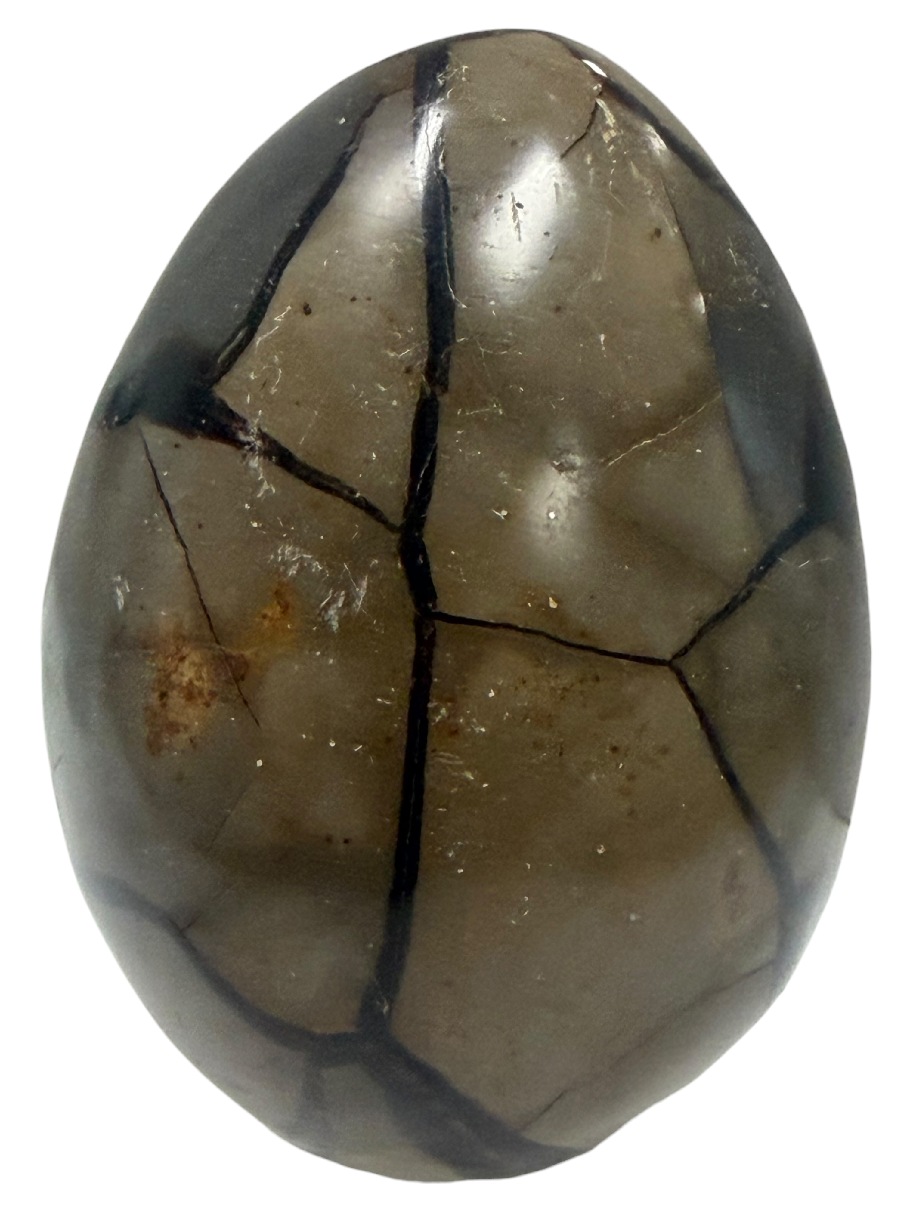 Septarian Egg "Dragons Egg"