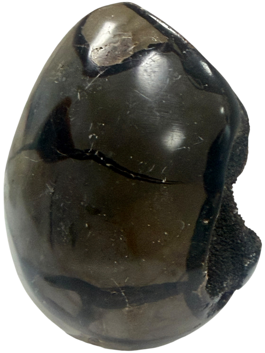 Septarian Egg "Dragons Egg"