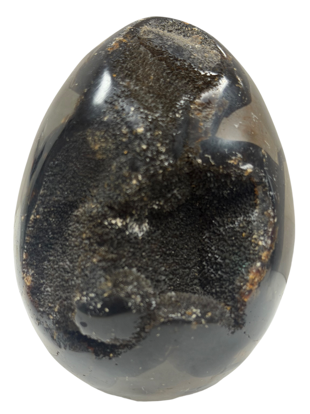 Septarian Egg "Dragons Egg"