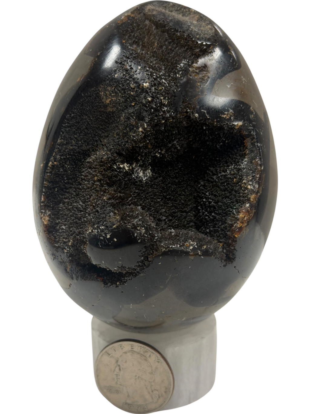 Septarian Egg "Dragons Egg"