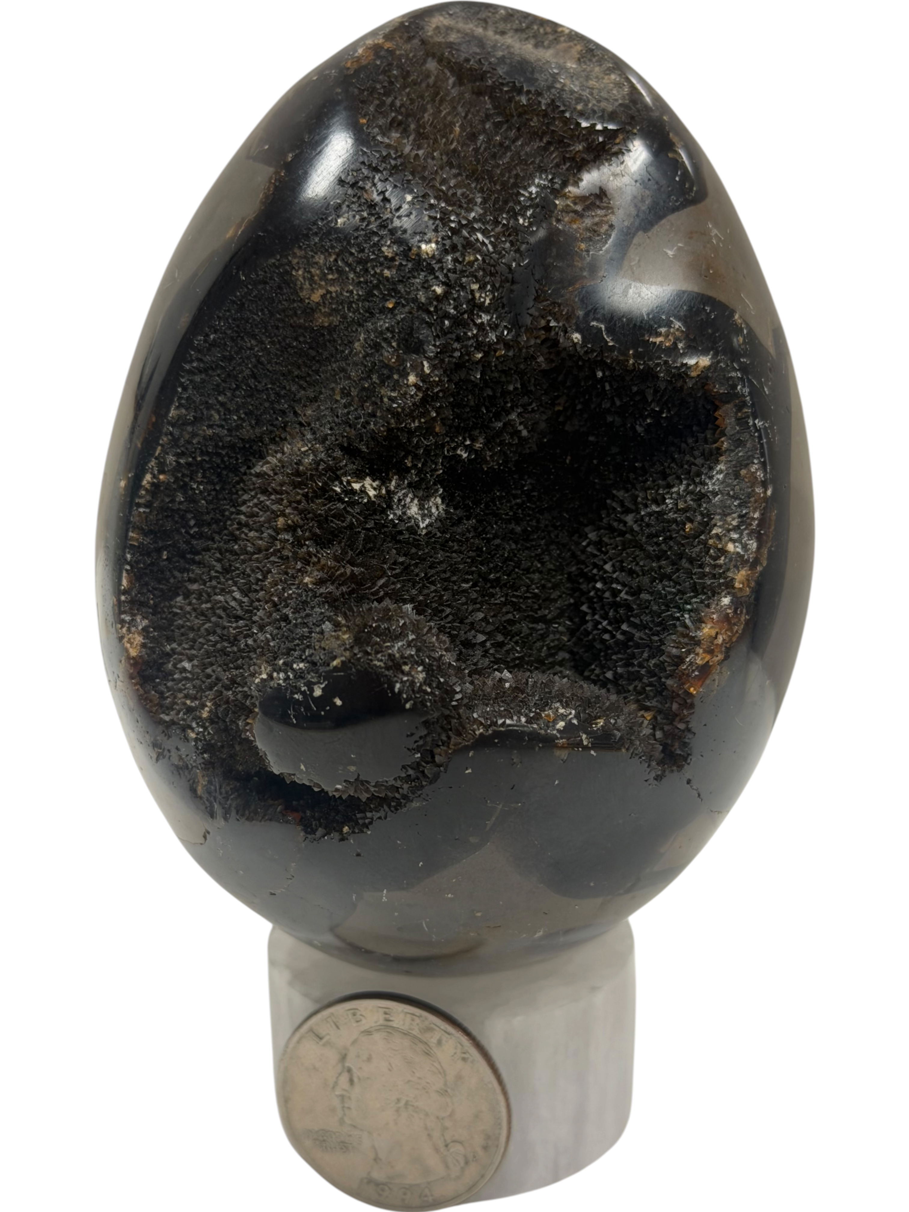 Septarian Egg "Dragons Egg"