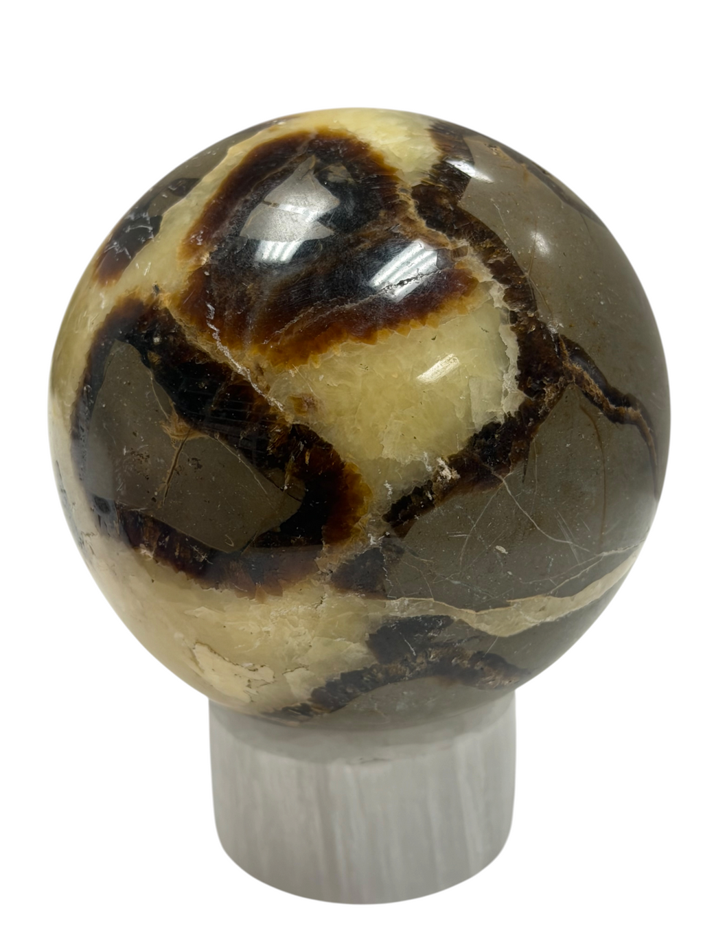 Septarian Sphere "Dragons Egg" 73mm