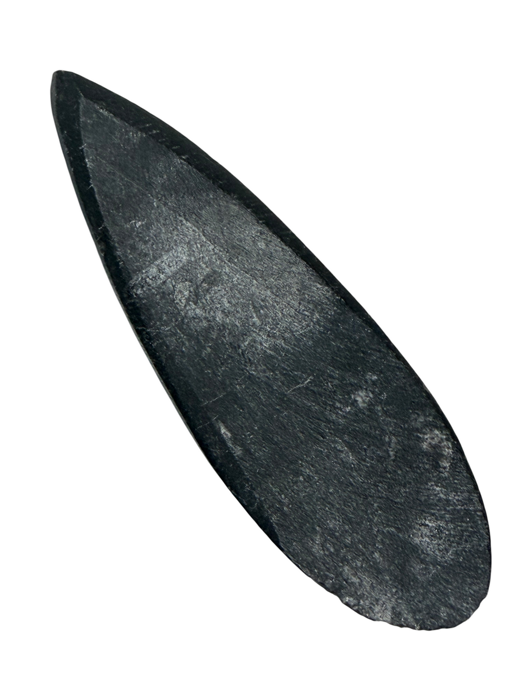 Orthoceras Fossil Stone