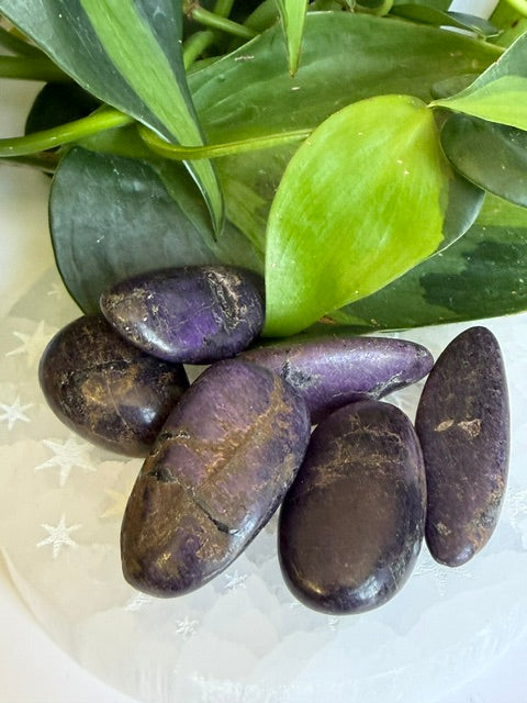 Tumbled Purpurite - Namibia