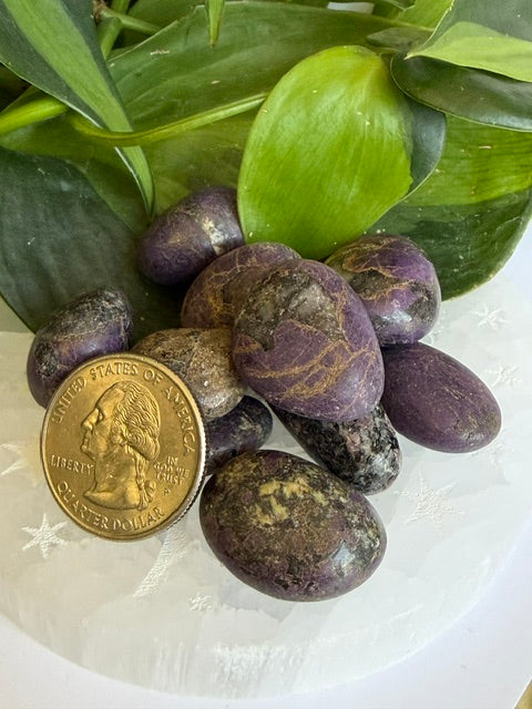 Tumbled Purpurite - Namibia