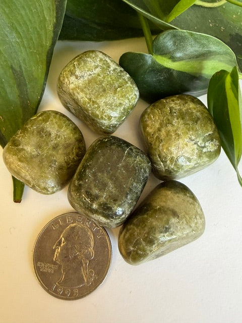 Tumbled Vesuvianite