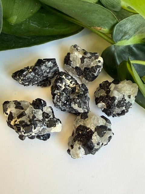 Tumbled Quartz Tourmalated Rough