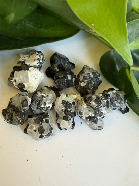 Tumbled Quartz Tourmalated Rough