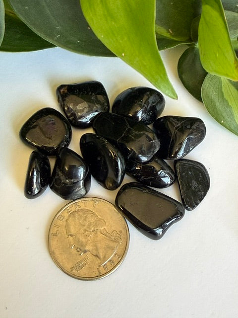 Tumbled Small Black Tourmaline