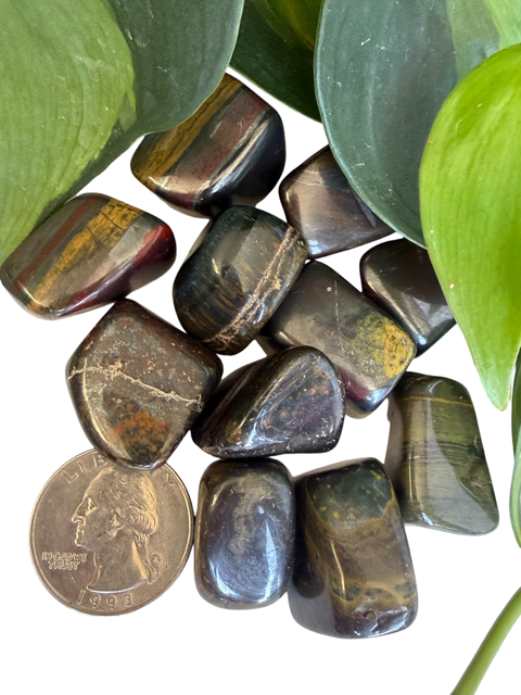 Tumbled Tiger Iron