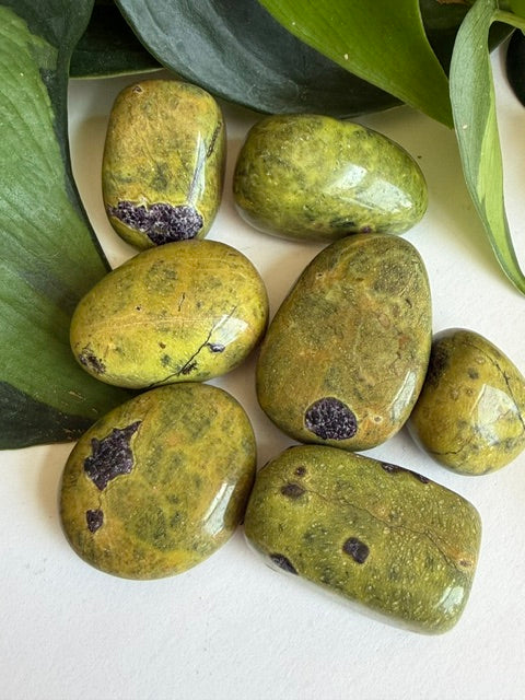 Tumbled Atlantisite