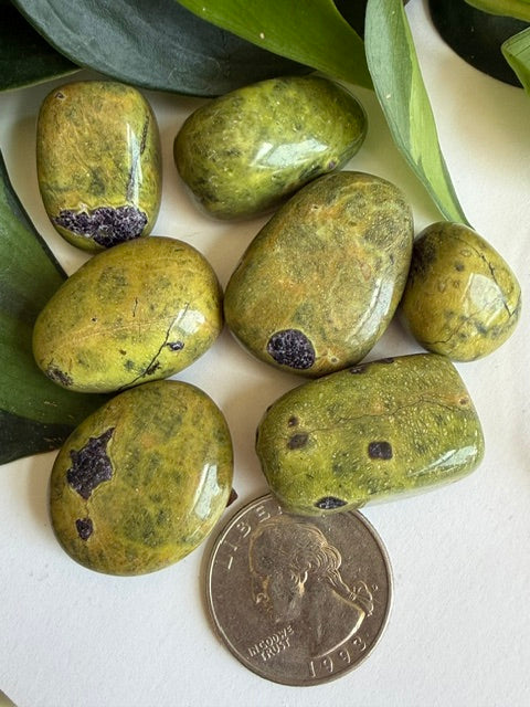 Tumbled Atlantisite