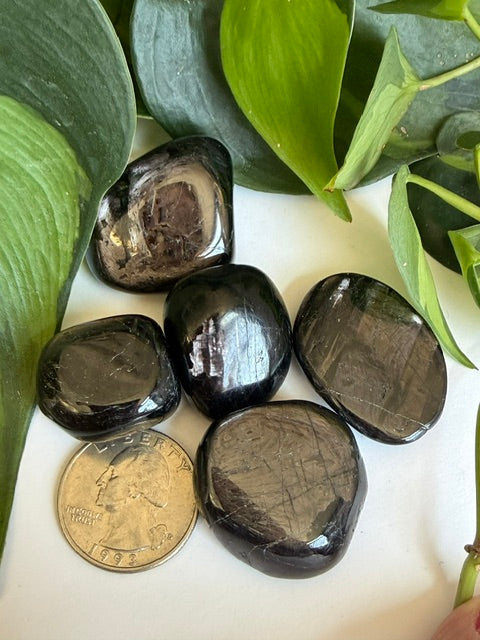 Tumbled Spectrolite