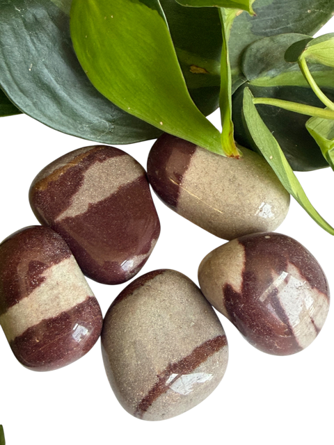 Tumbled Shiva stone