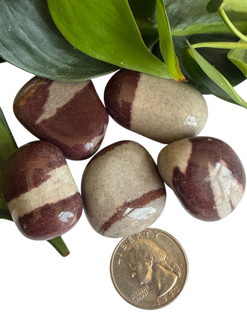 Tumbled Shiva stone