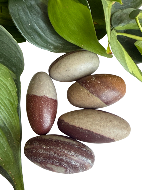 Tumbled Shiva Lingam