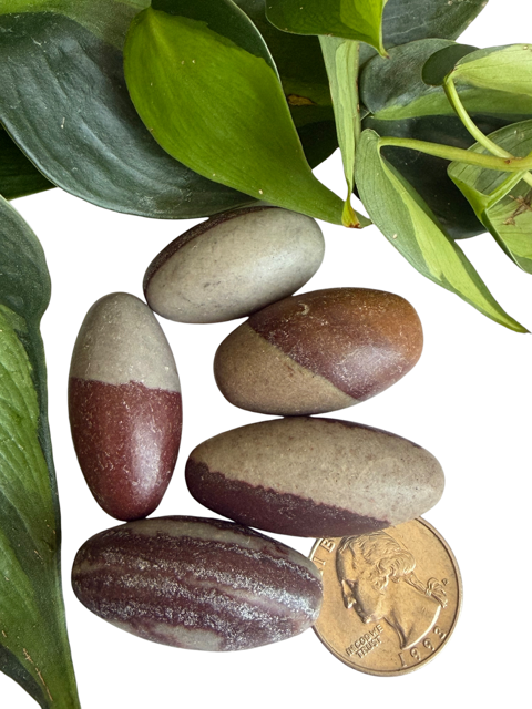 Tumbled Shiva Lingam