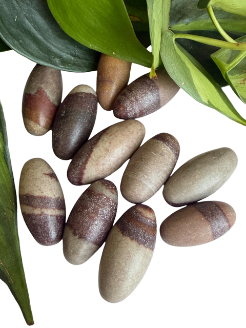 Tumbled Shiva Lingam