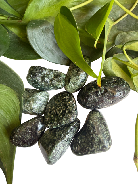 Tumbled Seraphinite Large