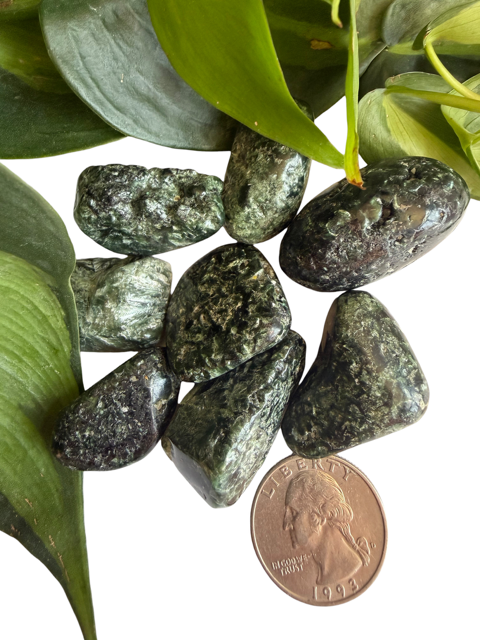 Tumbled Seraphinite Large