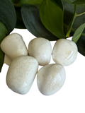 Tumbled Scolecite