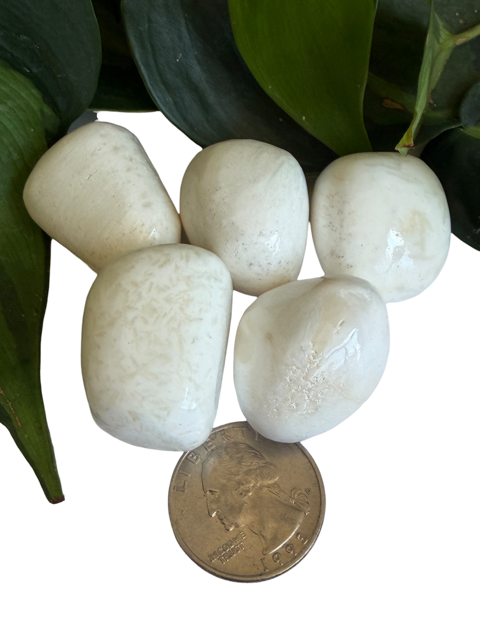 Tumbled Scolecite