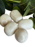 Tumbled Scolecite Large