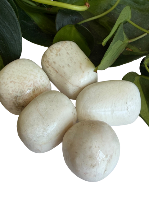 Tumbled Scolecite Large