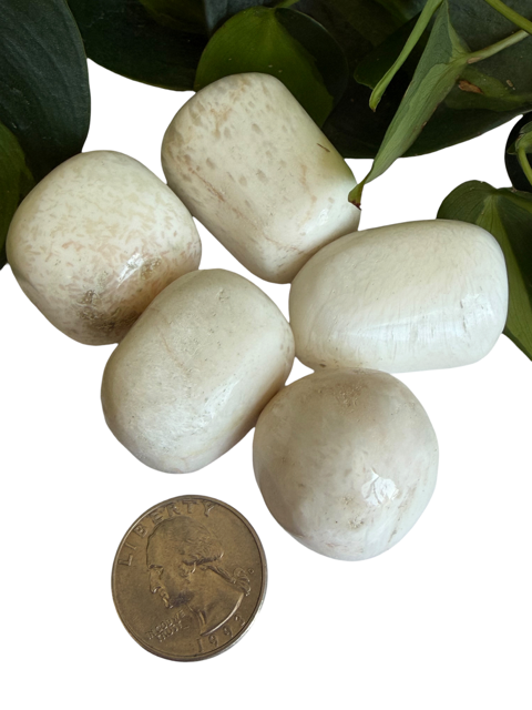 Tumbled Scolecite Large