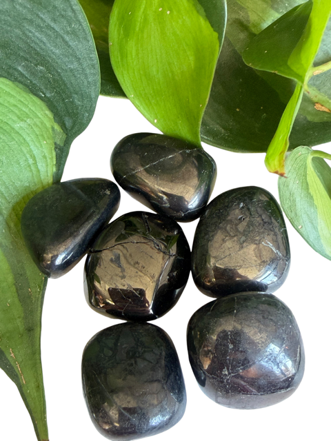 Tumbled Shungite