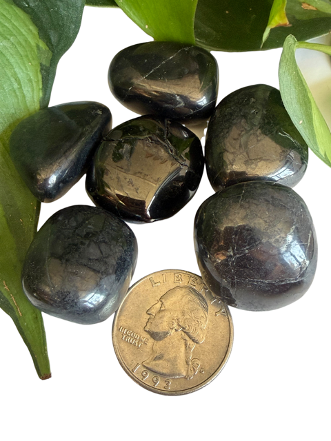 Tumbled Shungite