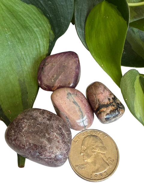 Tumbled Rhodonite Black and pink