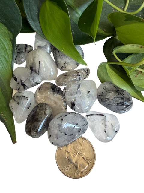 Tumbled Quartz Tourmalated