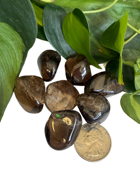 Tumbled Quartz Smokey Large