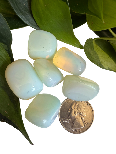 Tumbled Opalite
