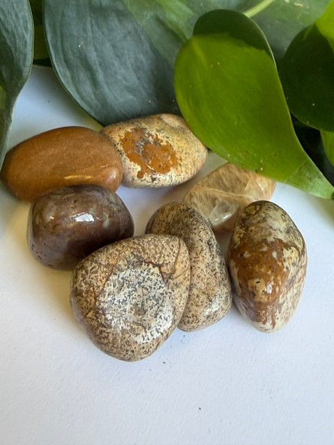 Tumbled Sandstone