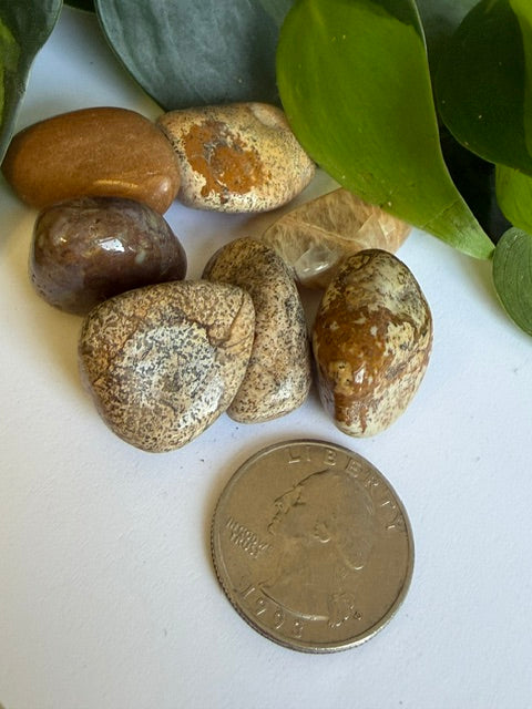 Tumbled Sandstone