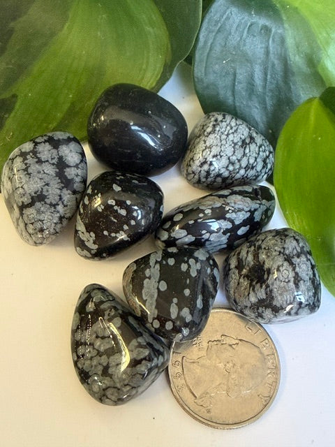 Tumbled Obsidian Snowflake