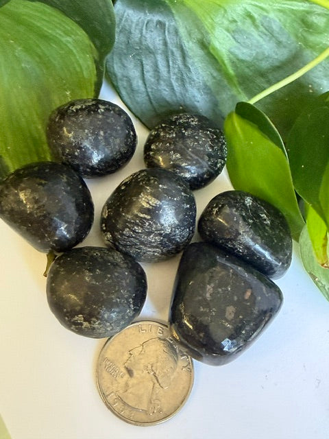 Tumbled Nuumite