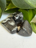 Tumbled Jasper Zebra