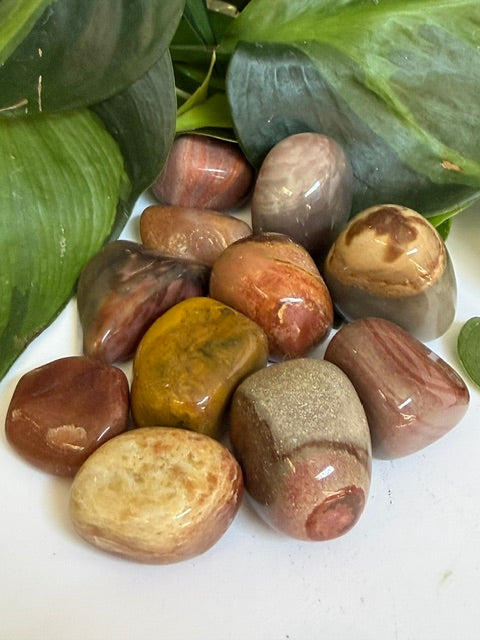 Tumbled Jasper polychrome