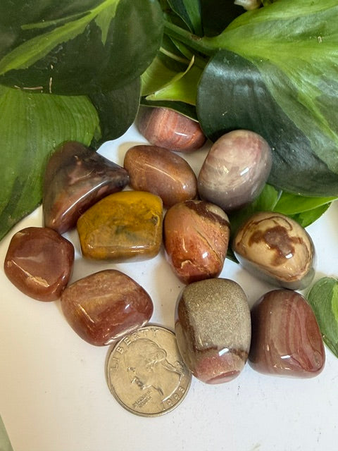 Tumbled Jasper polychrome