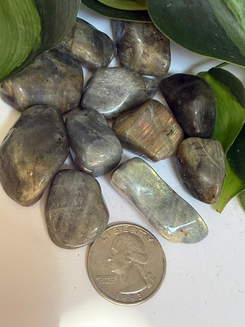 Tumbled Labradorite