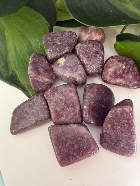 Tumbled Lepidolite