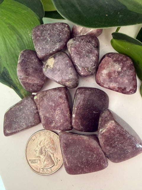 Tumbled Lepidolite